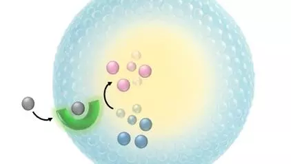 Cartoon depiction of intravesicular catalysis system
