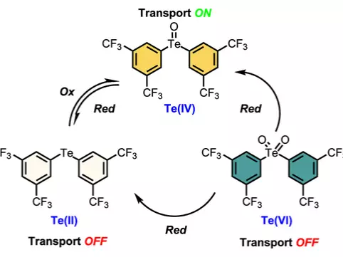 Description of redox process