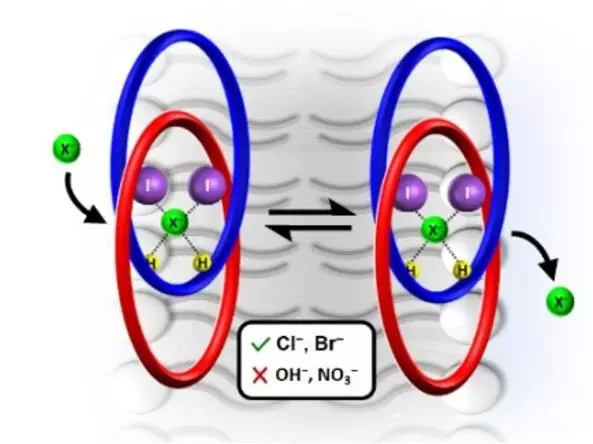 Cartoon depiction of anion binding process