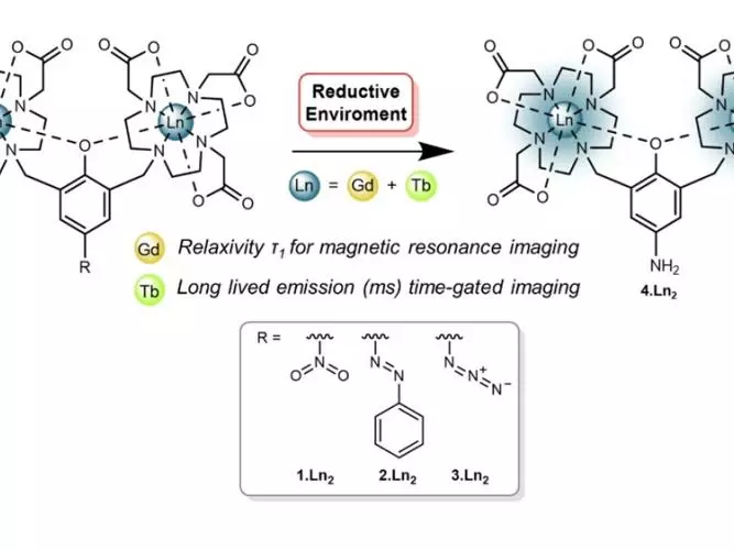 Chemical structures of lanthanide complexes