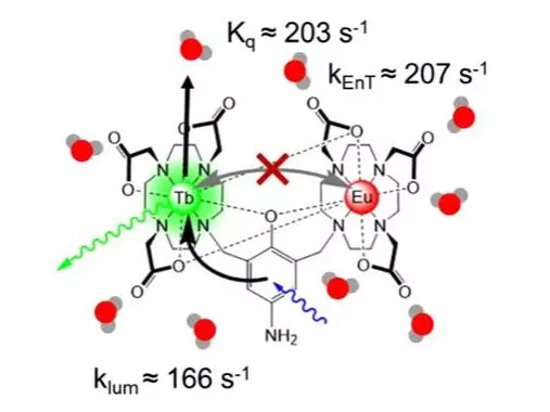 Chemical model of a lanthanide complex