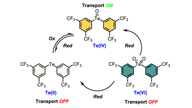 Description of redox process