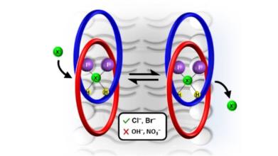 Cartoon depiction of anion binding process