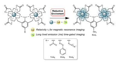 Chemical structures of lanthanide complexes