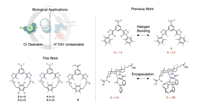 Chemical structures of ion transporters