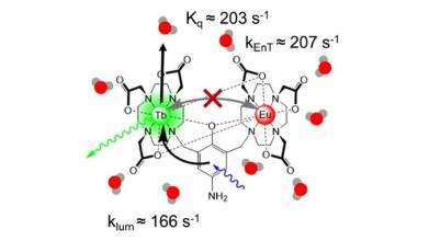 Chemical model of a lanthanide complex