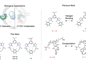 Chemical structures of ion transporters